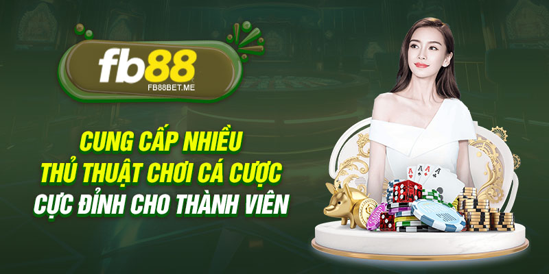 cung cap nhieu thu thuat ca cuoc