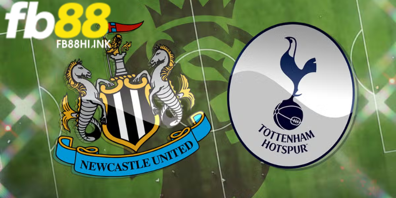 Phân tích trước trận đấu Newcastle vs Tottenham