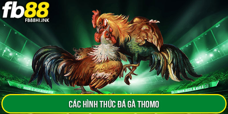 cac hinh thuc da ga thomo