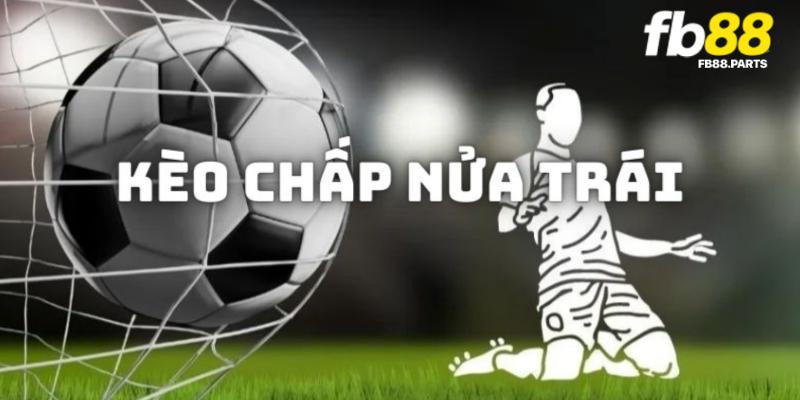 Kèo chấp nửa trái - Hướng dẫn cách bắt kèo cực hay từ các chuyên gia