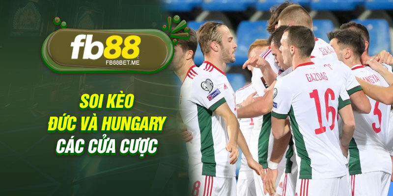 Soi kèo Đức và Hungary các cửa cược