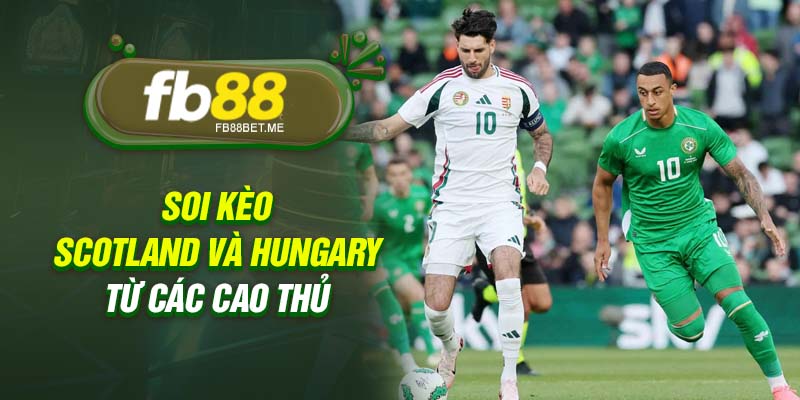 Soi kèo Scotland và Hungary từ các cao thủ