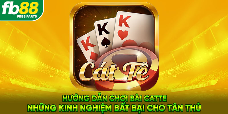 Hướng dẫn chơi bài Catte - Những kinh nghiệm bất bại cho tân thủ