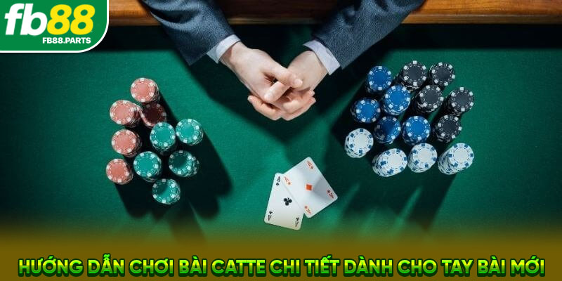 Hướng dẫn chơi bài Catte chi tiết dành cho tay bài mới